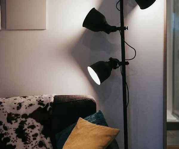 Apartment La Terrasse Confort Avec Garage Chatel-Guyon